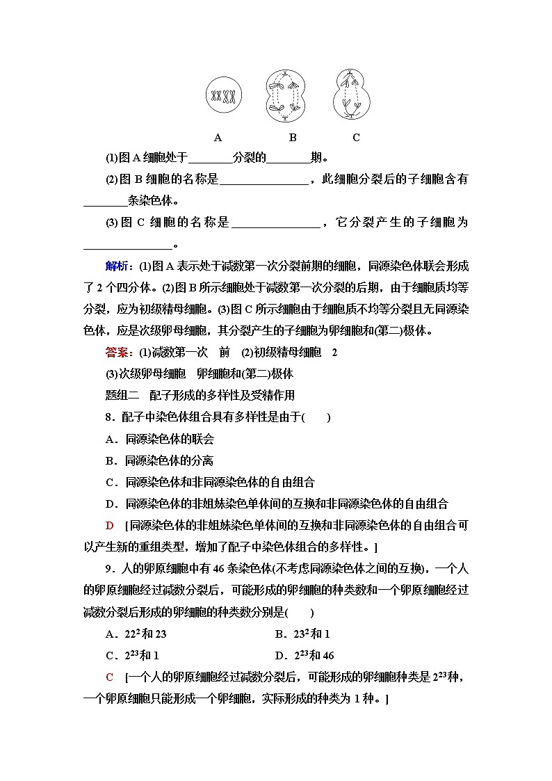 浙科版高中生物必修2遗传与进化课后素养落实3染色体通过配子传递给子代含答案 试卷03