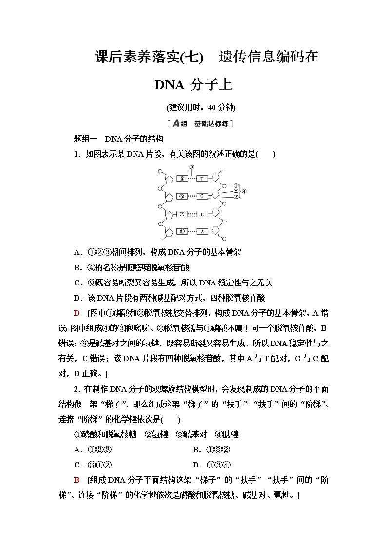 浙科版高中生物必修2遗传与进化课后素养落实7遗传信息编码在DNA分子上含答案 试卷01