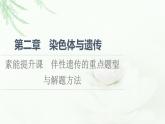 浙科版高中生物必修2遗传与进化第2章素能提升课伴性遗传的重点题型与解题方法课件