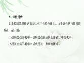 浙科版高中生物必修2遗传与进化第2章素能提升课伴性遗传的重点题型与解题方法课件