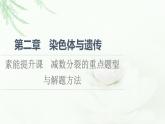 浙科版高中生物必修2遗传与进化第2章素能提升课减数分裂的重点题型与解题方法课件