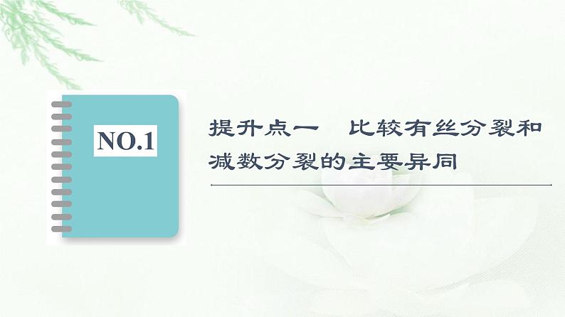 浙科版高中生物必修2遗传与进化第2章素能提升课减数分裂的重点题型与解题方法课件02