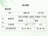浙科版高中生物必修2遗传与进化第2章素能提升课减数分裂的重点题型与解题方法课件