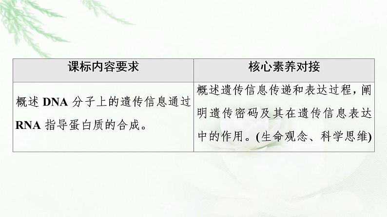 浙科版高中生物必修2遗传与进化第3章第4.5节第1课时基因的表达——转录和翻译课件02