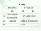 浙科版高中生物必修2遗传与进化第3章素能提升课基因表达的重点题型及解题方法课件