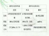 浙科版高中生物必修2遗传与进化第3章素能提升课基因表达的重点题型及解题方法课件