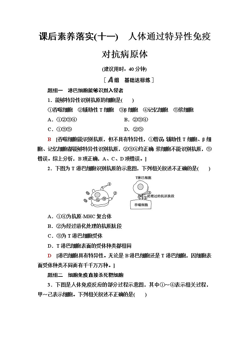 浙科版高中生物选择性必修1课后素养落实11人体通过特异性免疫对抗病原体含答案 试卷01