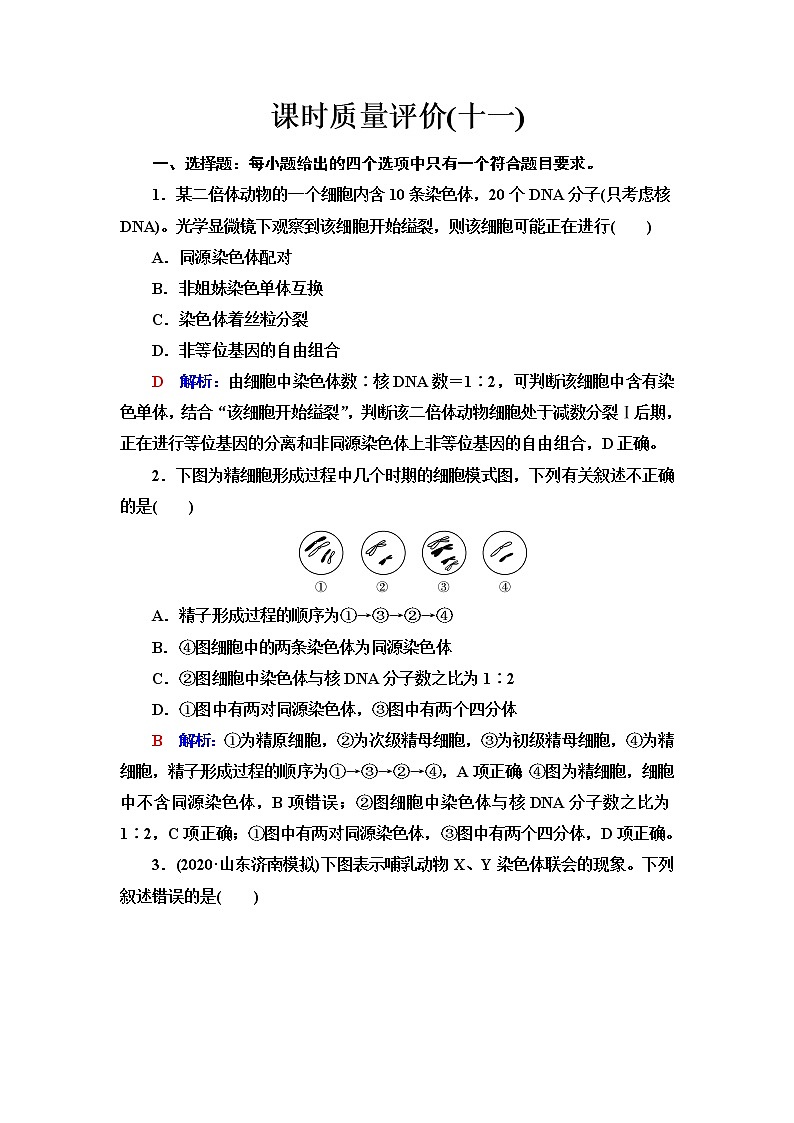 人教版高考生物一轮总复习课时质量评价11减数分裂和受精作用含答案第1页