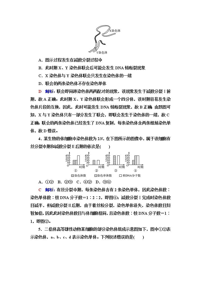 人教版高考生物一轮总复习课时质量评价11减数分裂和受精作用含答案第2页