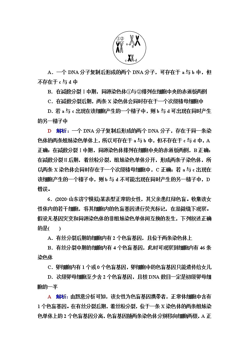 人教版高考生物一轮总复习课时质量评价11减数分裂和受精作用含答案第3页