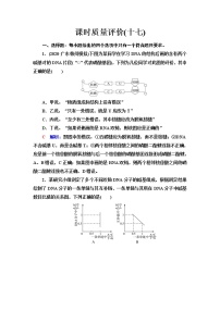 人教版高考生物一轮总复习课时质量评价17DNA的结构、复制和基因的本质含答案