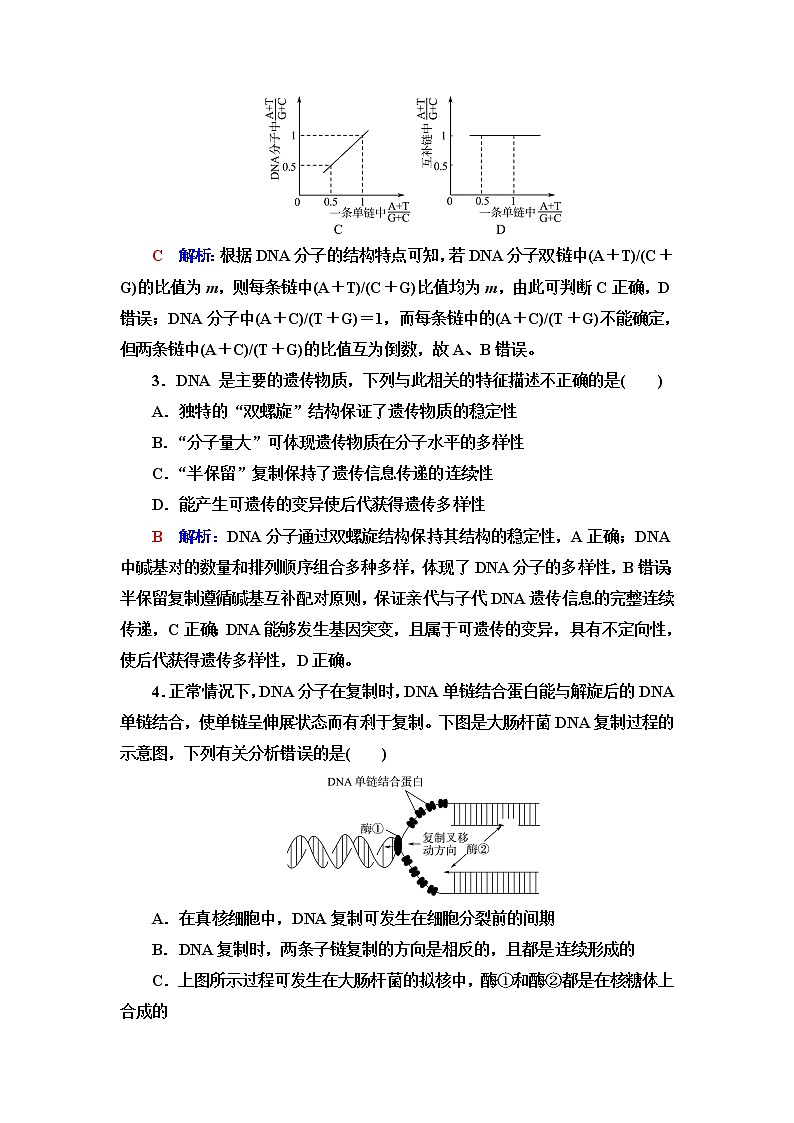 人教版高考生物一轮总复习课时质量评价17DNA的结构、复制和基因的本质含答案 试卷02