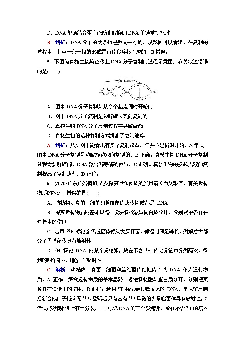 人教版高考生物一轮总复习课时质量评价17DNA的结构、复制和基因的本质含答案 试卷03