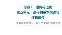 人教版高考生物一轮总复习必修2第5单元实验探究系列5遗传类实验的设计方案课件