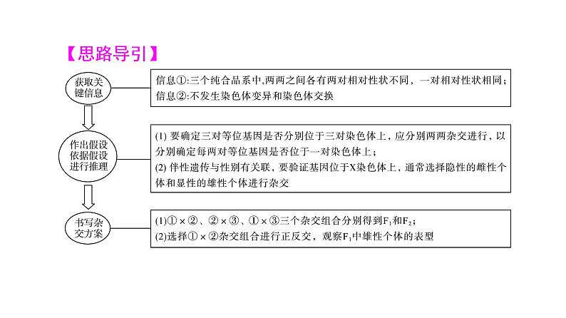 人教版高考生物一轮总复习必修2第5单元实验探究系列5遗传类实验的设计方案课件05