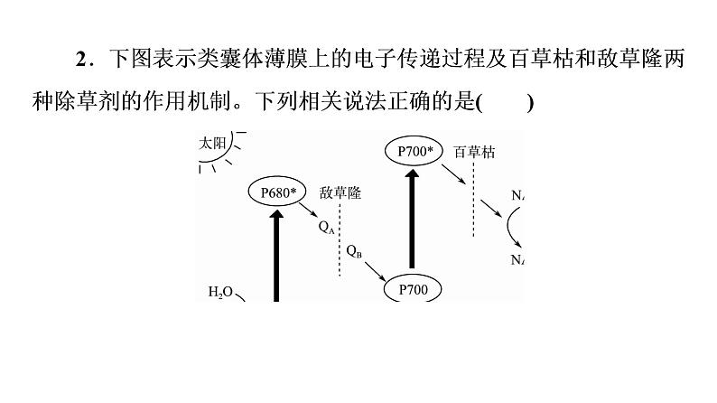 人教版高考生物一轮总复习必修1第4单元大概念升华课(必修概念2)课件07