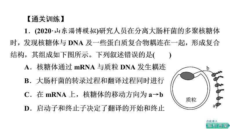 人教版高考生物一轮总复习必修2第7单元大概念升华课(必修概念3)课件04