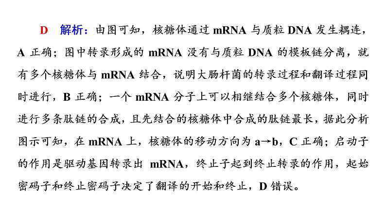 人教版高考生物一轮总复习必修2第7单元大概念升华课(必修概念3)课件05