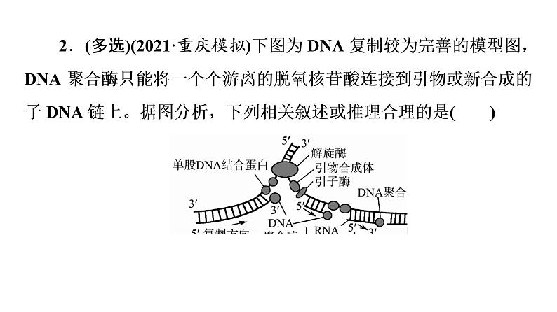 人教版高考生物一轮总复习必修2第7单元大概念升华课(必修概念3)课件06