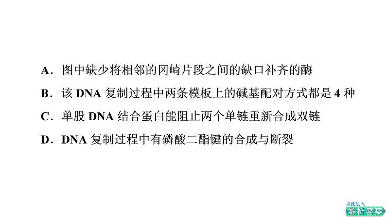 人教版高考生物一轮总复习必修2第7单元大概念升华课(必修概念3)课件07