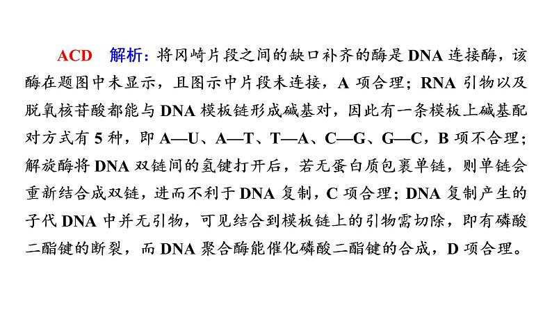 人教版高考生物一轮总复习必修2第7单元大概念升华课(必修概念3)课件08