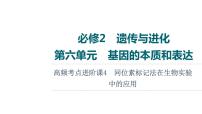 人教版高考生物一轮总复习必修2第6单元高频考点进阶课4同位素标记法在生物实验中的应用课件