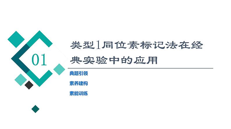 人教版高考生物一轮总复习必修2第6单元高频考点进阶课4同位素标记法在生物实验中的应用课件第2页