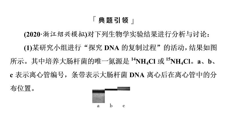 人教版高考生物一轮总复习必修2第6单元高频考点进阶课4同位素标记法在生物实验中的应用课件第3页