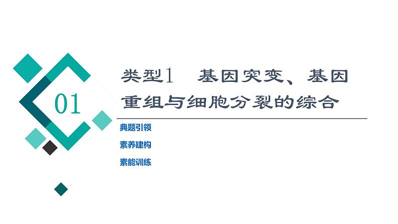 人教版高考生物一轮总复习必修2第7单元高频考点进阶课5变异与细胞分裂和遗传定律的综合课件第2页