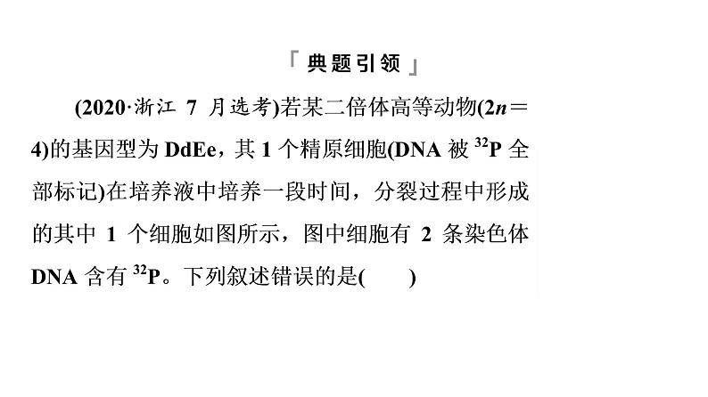 人教版高考生物一轮总复习必修2第7单元高频考点进阶课5变异与细胞分裂和遗传定律的综合课件第3页