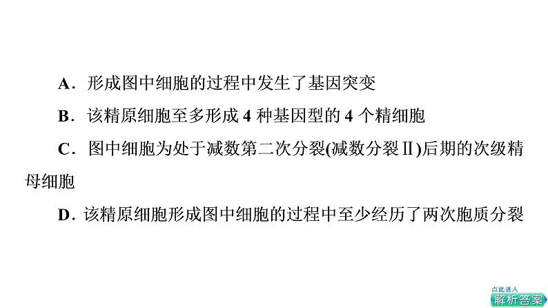 人教版高考生物一轮总复习必修2第7单元高频考点进阶课5变异与细胞分裂和遗传定律的综合课件第4页