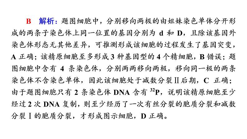 人教版高考生物一轮总复习必修2第7单元高频考点进阶课5变异与细胞分裂和遗传定律的综合课件第5页