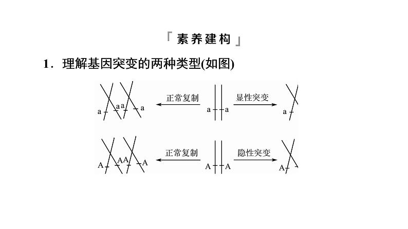 人教版高考生物一轮总复习必修2第7单元高频考点进阶课5变异与细胞分裂和遗传定律的综合课件第6页