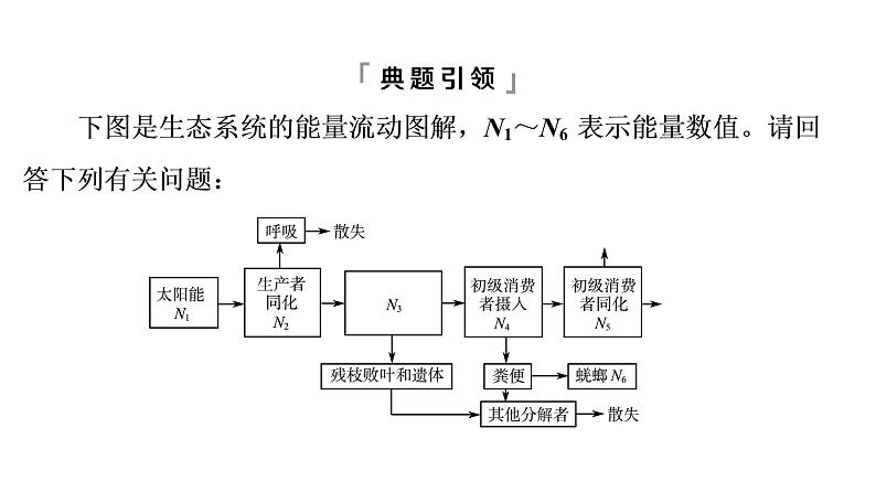 人教版高考生物一轮总复习选择性必修2第9单元高频考点进阶课7生态系统结构与功能的综合考查课件第3页