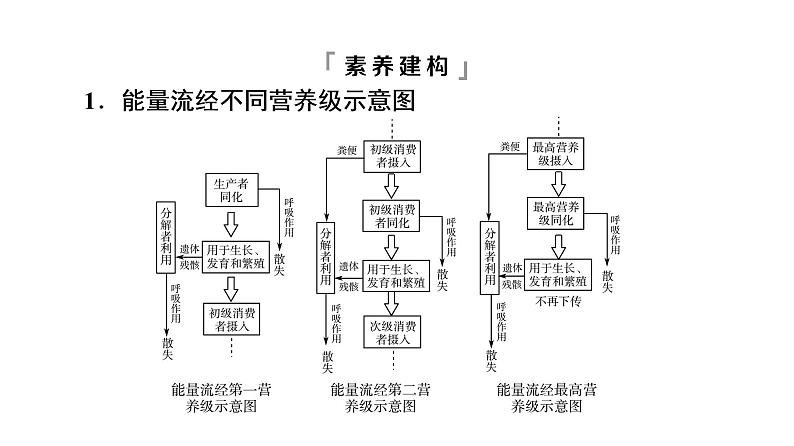 人教版高考生物一轮总复习选择性必修2第9单元高频考点进阶课7生态系统结构与功能的综合考查课件第8页