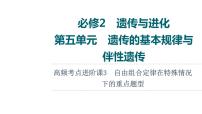 人教版高考生物一轮总复习必修2第5单元高频考点进阶课3自由组合定律在特殊情况下的重点题型课件