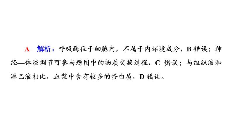 人教版高考生物一轮总复习选择性必修1第8单元大概念升华课(选择性必修概念1)课件06