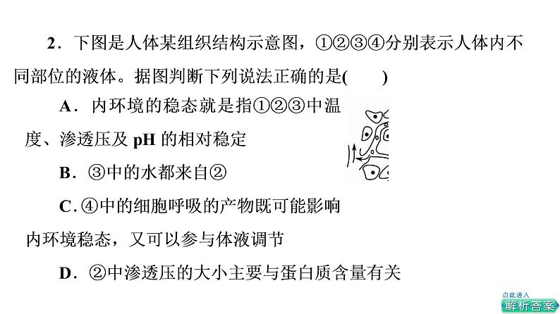 人教版高考生物一轮总复习选择性必修1第8单元大概念升华课(选择性必修概念1)课件07