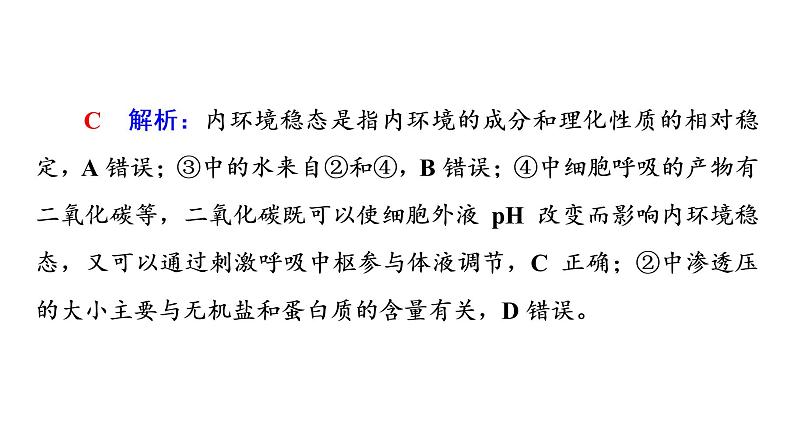 人教版高考生物一轮总复习选择性必修1第8单元大概念升华课(选择性必修概念1)课件08