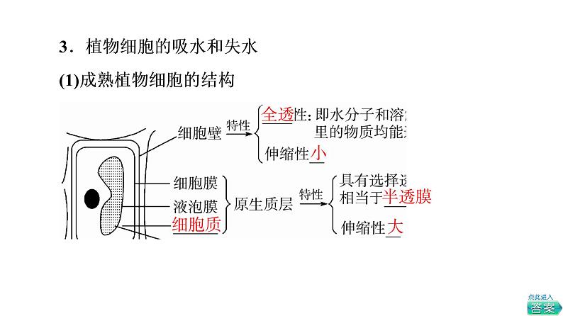 人教版高考生物一轮总复习必修1第2单元第6课细胞的物质输入和输出课件第7页