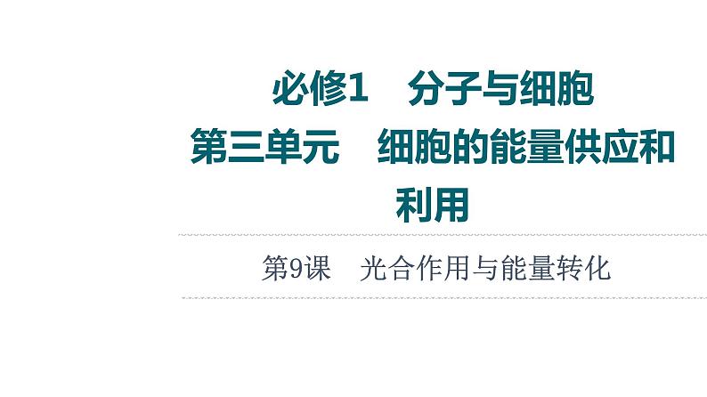 人教版高考生物一轮总复习必修1第3单元第9课光合作用与能量转化课件01