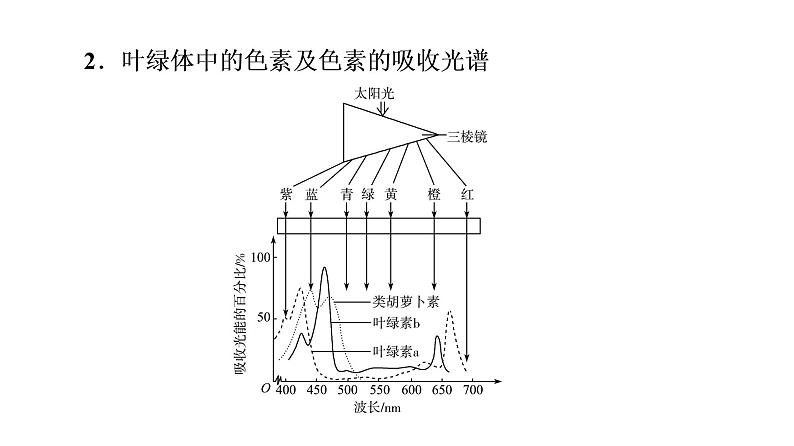 人教版高考生物一轮总复习必修1第3单元第9课光合作用与能量转化课件08