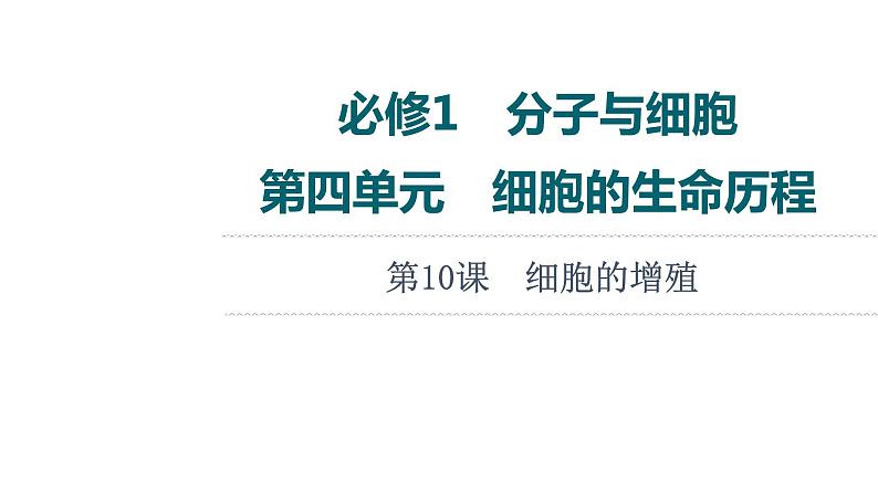 人教版高考生物一轮总复习必修1第4单元第10课细胞的增殖课件第1页