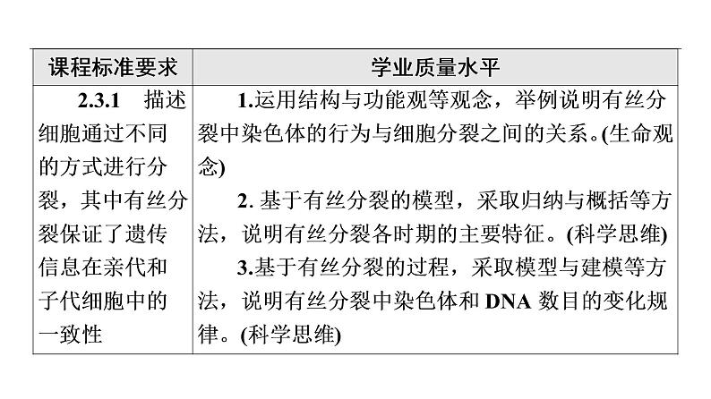 人教版高考生物一轮总复习必修1第4单元第10课细胞的增殖课件第2页