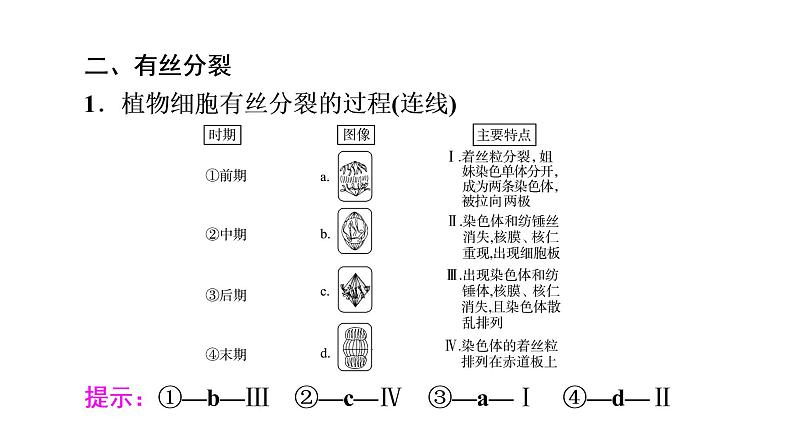 人教版高考生物一轮总复习必修1第4单元第10课细胞的增殖课件第6页