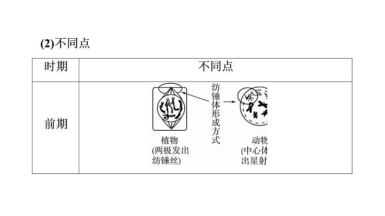 人教版高考生物一轮总复习必修1第4单元第10课细胞的增殖课件第8页