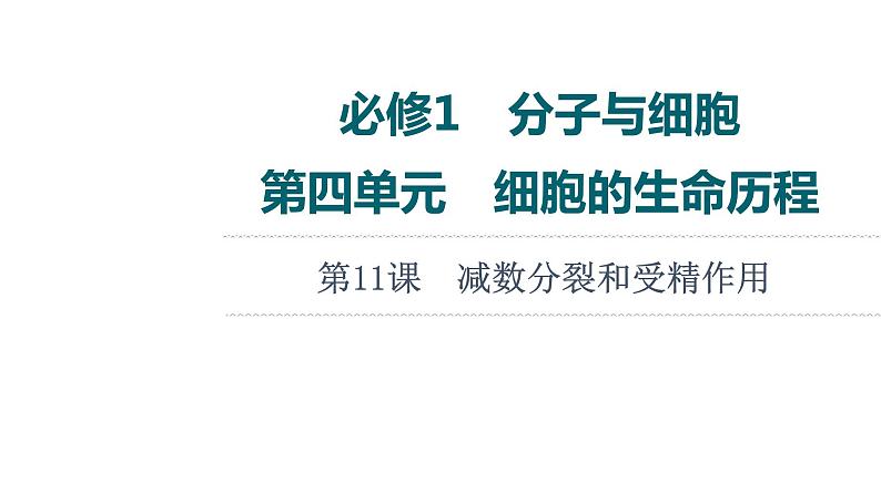 人教版高考生物一轮总复习必修1第4单元第11课减数分裂和受精作用课件01