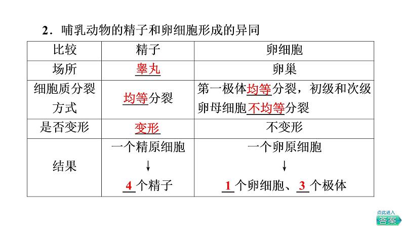 人教版高考生物一轮总复习必修1第4单元第11课减数分裂和受精作用课件07