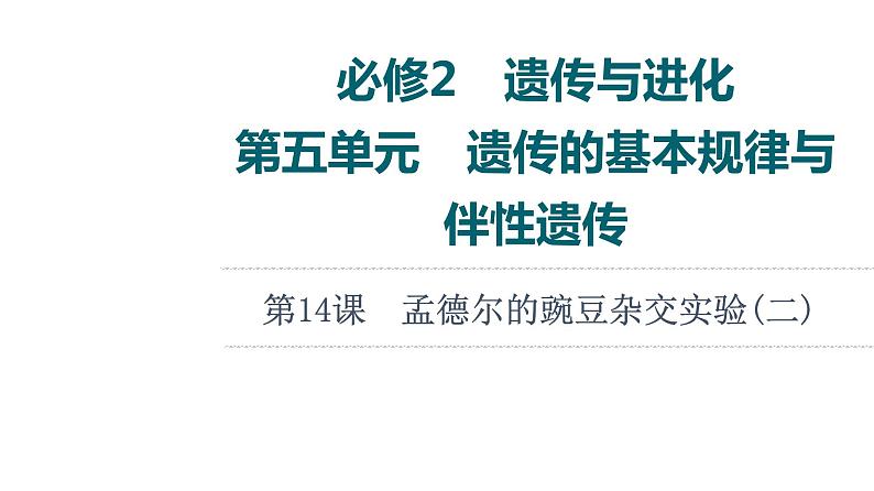 人教版高考生物一轮总复习必修2第5单元第14课孟德尔的豌豆杂交实验(二)--P49you课件第1页