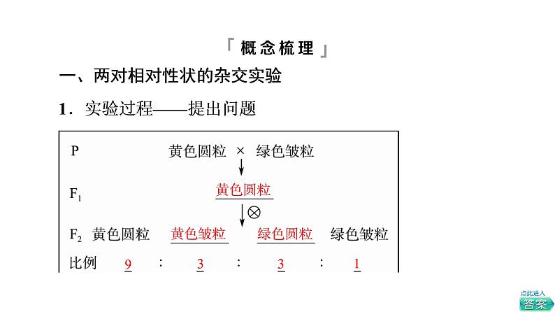 人教版高考生物一轮总复习必修2第5单元第14课孟德尔的豌豆杂交实验(二)--P49you课件第4页